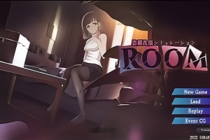 ROOM窥视女孩私生活/ROOM