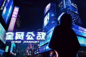 全网公敌 Cyber Manhunt