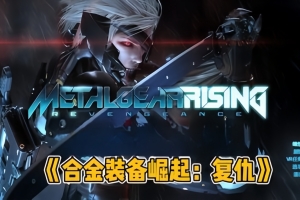 合金装备崛起：复仇/Metal Gear Rising: Revengeance