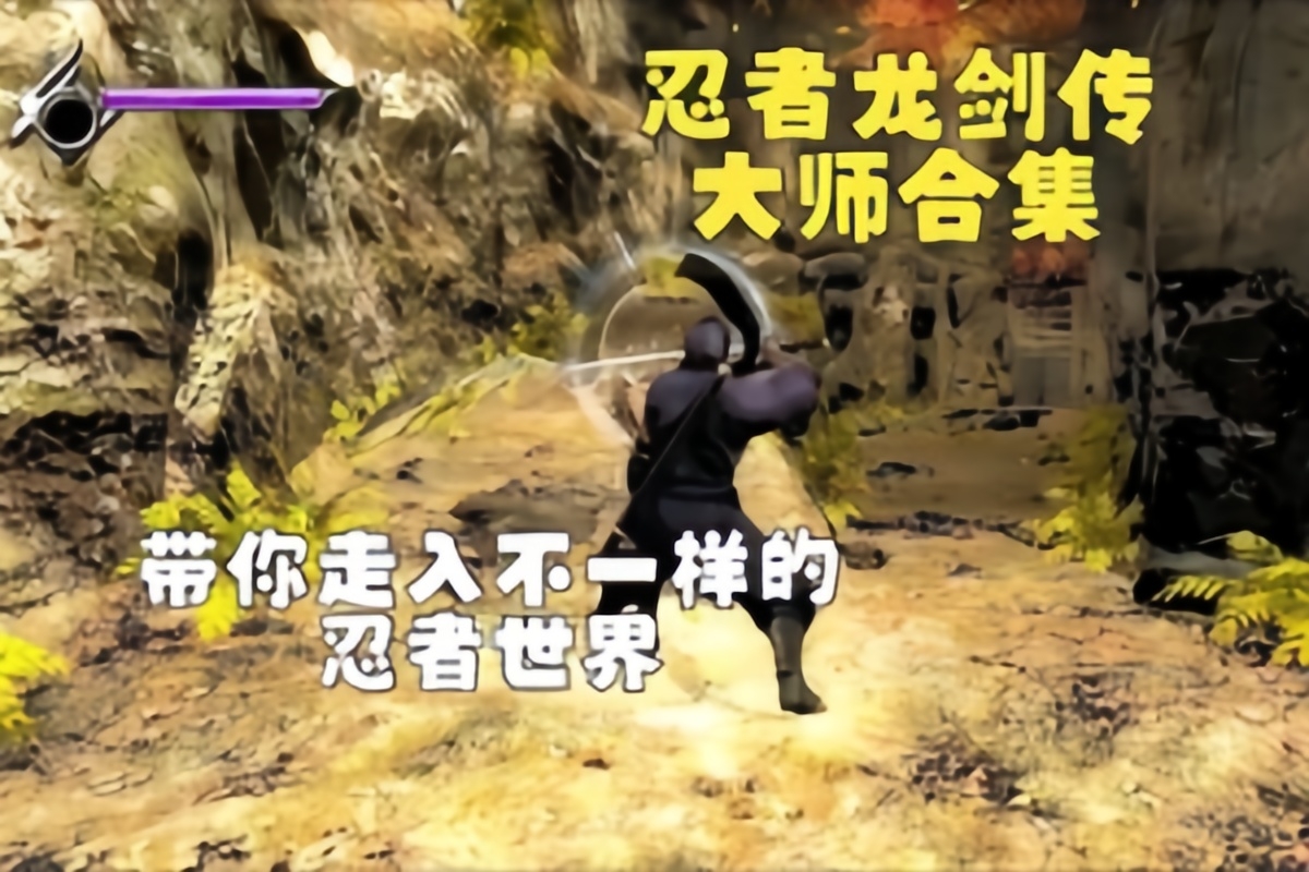 忍者龙剑传：大师合集（v1.01-1号升级档+画集+原声音乐）