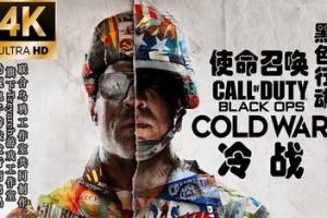 召唤17 黑色行动 冷战（注意：W11系统请勿下载，会出现打开不开的情况）