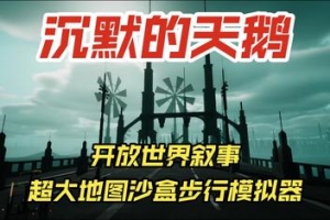 沉默的天鹅/The Silent Swan