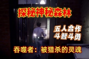 吞噬者：被猎杀的灵魂/The Devourer: Hunted Souls/支持网络联机