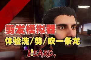 剪发模拟器/Hairdresser Simulator