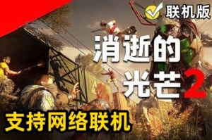 消逝的光芒2：人与仁之战/Dying Light 2 Stay Human/支持网络联机