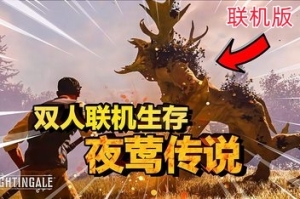 夜莺传说/Nightingale 支持网络联机
