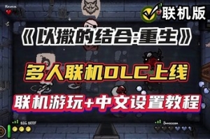 以撒的结合：重生/The Binding of Isaac: Rebirth/支持网络联机