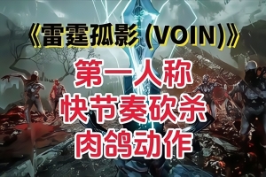雷霆孤影/VOIN