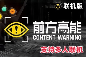 前方高能/内容警告/Content Warning/支持网络联机