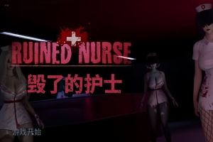 毁了的护士/Ruined Nurse