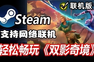 双影奇境/Split Fiction/支持网络联机版