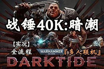 战锤40K：暗潮/Warhammer 40,000: Darktide/支持网络联机