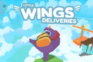小小飞翼快递 / Little Wings Deliveries