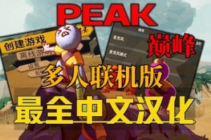 巅峰/PEAK/支持网络联机