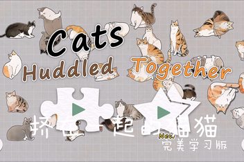 挤在一起的猫猫/Cats Huddled Together