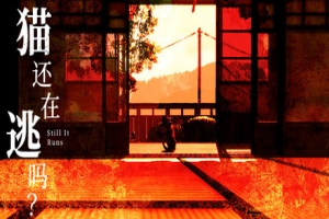 猫还在逃吗？/Still It Runs