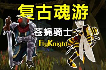 苍蝇骑士/FlyKnight