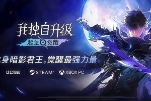 我独自升级：起立·觉醒/Solo Leveling ARISE OVERDRIVE Online/支持网络联机