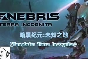 暗黑纪元：未知之地/Tenebris: Terra Incognita