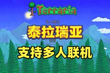 泰拉瑞亚/Terraria/支持网络联机