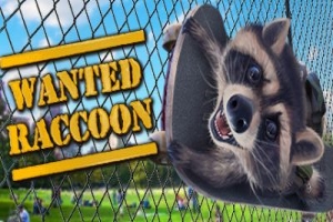 浣熊通缉犯|官方中文|支持手柄|Wanted Raccoon