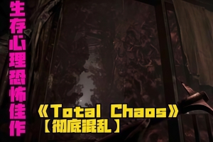 彻底恐慌/Total Chaos  全面混沌