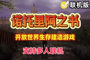 诺托里阿之书/Ars Notoria/支持网络联机