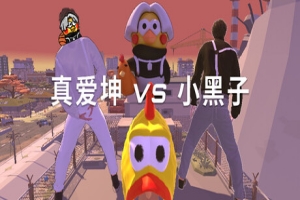 真爱坤vs小黑子/IKUN vs XHZ
