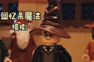 乐高哈利波特合集/LEGO Harry Potter Collection