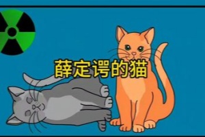 薛定谔的盗猫/Schrodinger’s Cat Burglar