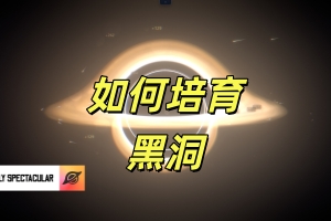 如何培育黑洞/How To Grow a Black Hole