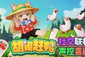 胡闹赶鸭/Quack Quack Up