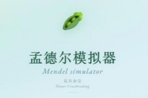 孟德尔模拟器/Mendel Simulator
