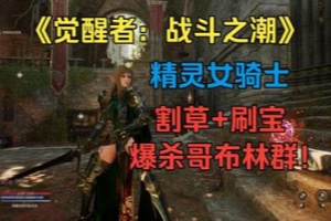 觉醒者：战斗之潮/The Awakener: Battle Tendency