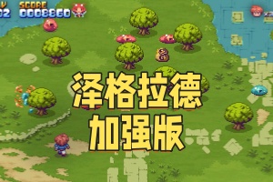 泽格拉德加强版/XeGrader plus