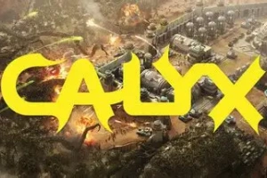 星萼/Calyx