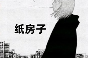 纸房子/Paper house