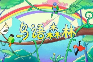 鸟语森林/Feather Land