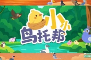 小小鸟托邦/Tiny Birdtopia
