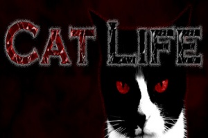 猫咪人生/Cat Life